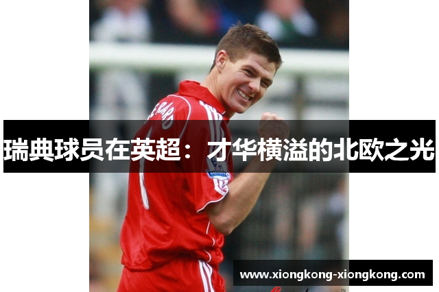 瑞典球员在英超：才华横溢的北欧之光