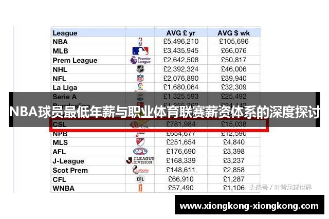 NBA球员最低年薪与职业体育联赛薪资体系的深度探讨