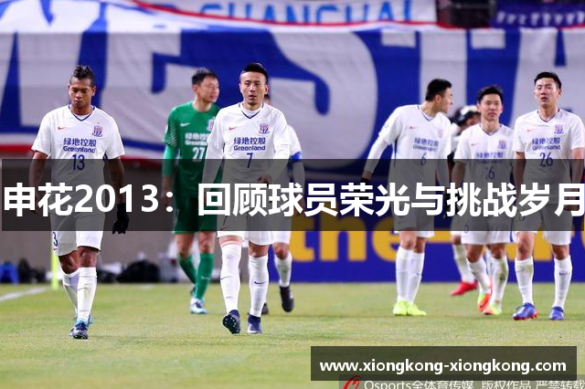 申花2013：回顾球员荣光与挑战岁月