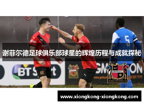 谢菲尔德足球俱乐部球星的辉煌历程与成就探秘